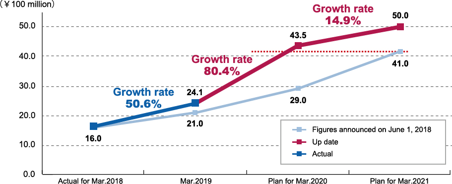 Net sales plan (overseas)