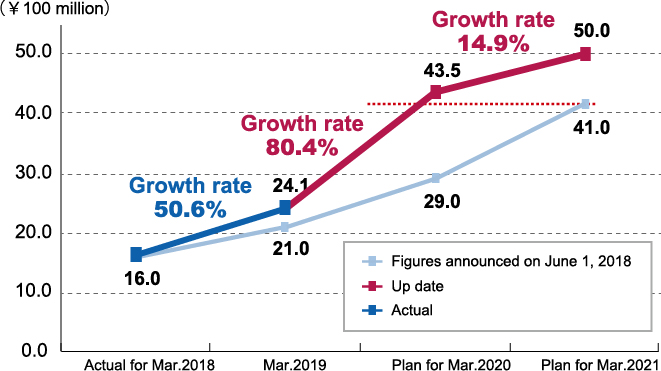 Net sales plan (overseas)
