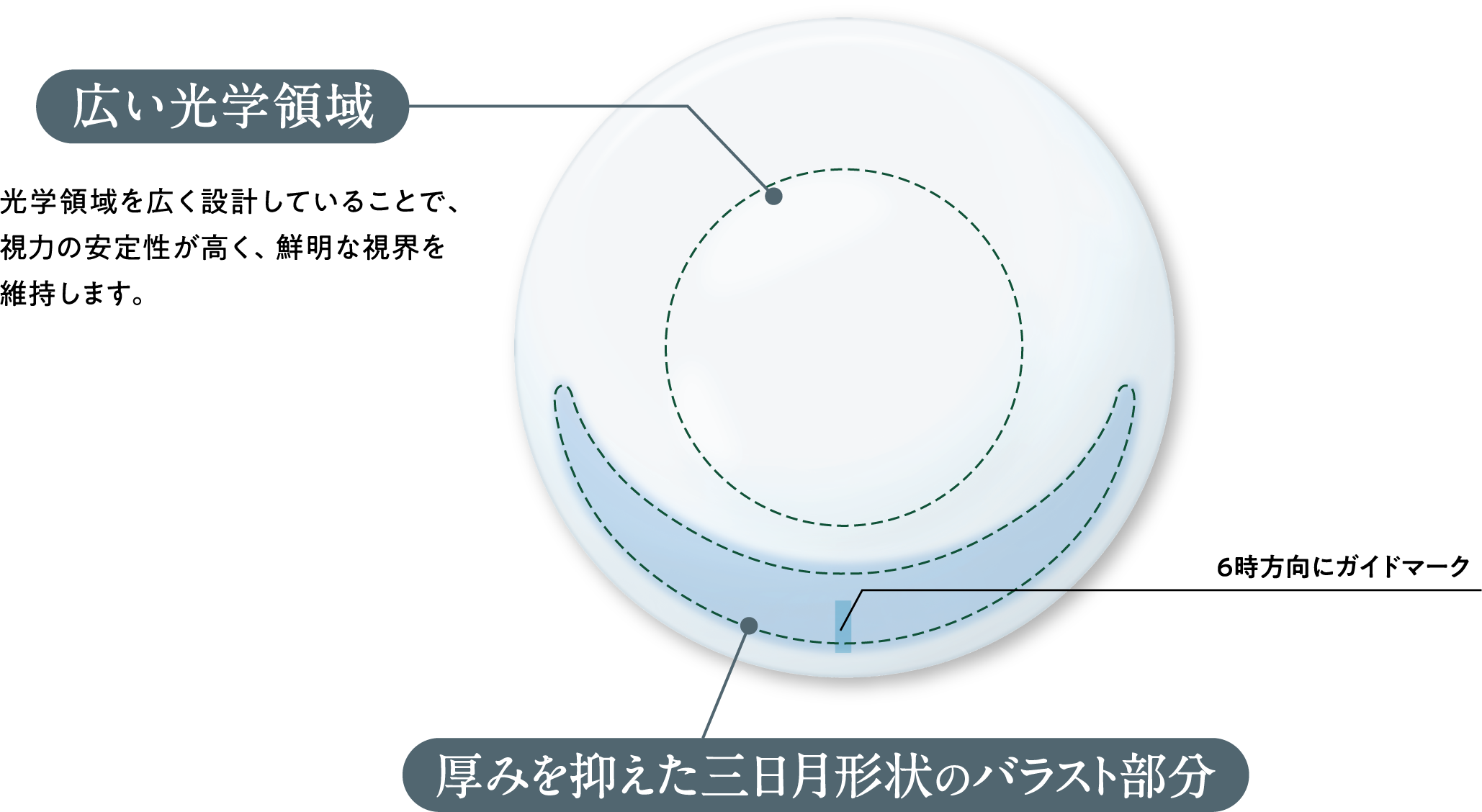 広い光学領域　光学領域を広く設計していることで、視力の安定性が高く、鮮明な視界を維持します。　厚みを抑えた三日月形状のバラスト部分　6時方向にガイドマーク
