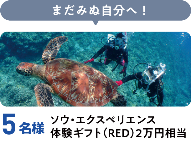 まだみぬ自分へ！ソウ・エクスペリエンス体験ギフト（RED）2万円相当