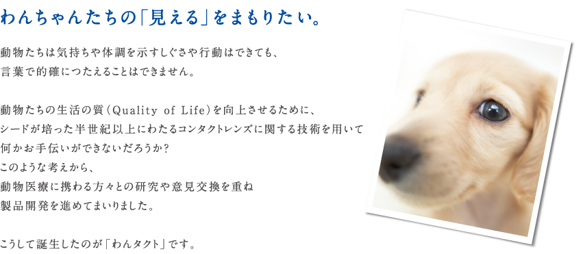 わんちゃんたちの「見える」をまもりたい。動物たちは気持ちや体調を示すしぐさや行動はできても、言葉で的確につたえることはできません。動物たちの生活の質（Quality of Life）を向上させるために、シードが培った半世紀以上にわたるコンタクトレンズに関する技術を用いて何かお手伝いができないだろうか？このような考えから、動物医療に携わる方々との研究や意見交換を重ね製品開発を進めてまいりました。こうして誕生したのが「わんタクト」です。