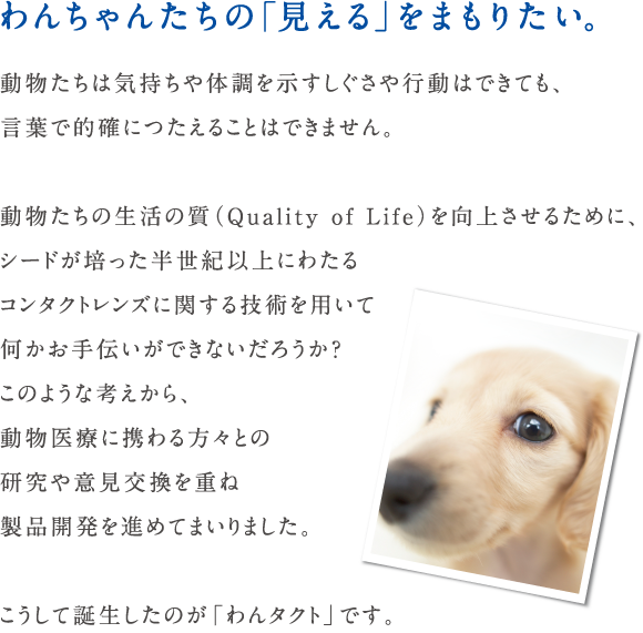 犬用治療用コンタクトレンズ わんタクト Seed