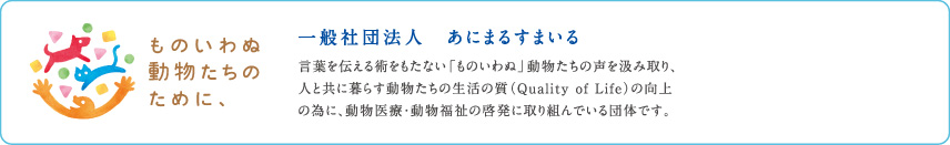 一般社団法人　あにまるすまいる　言葉を伝える術をもたない「ものいわぬ」動物たちの声を汲み取り、人と共に暮らす動物たちの生活の質（Quality of Life）の向上の為に、動物医療・動物福祉の啓発に取り組んでいる団体です。