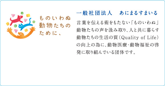 犬用治療用コンタクトレンズ わんタクト Seed