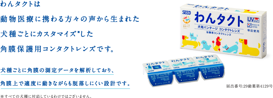 わんタクトは動物医療に携わる方々の声から生まれた犬種ごとにカスタマイズ※した角膜保護用コンタクトレンズです。犬種ごとに角膜の測定データを解析しており、角膜上で適度に動きながらも脱落しにい設計です。※すべての犬種に対応しているわけではございません。