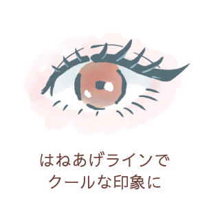 はねあげラインでクールな印象に