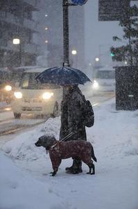 雪道で信号を待っている写真.JPG