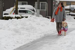 雪道を歩いている写真.JPG