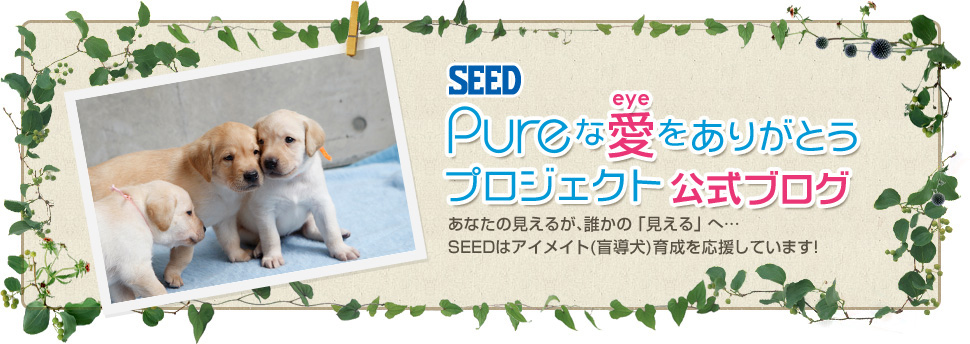 シード　Pureな愛（eye）をありがとうプロジェクト公式ブログ　あなたの見えるが、誰かの「見える」へ…SEEDはアイメイト（盲導犬）育成を応援しています。！