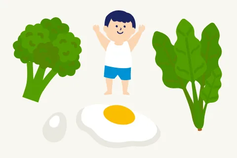 ほうれん草やブロッコリー、卵など目の健康を支える食材のイラスト