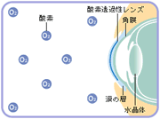 高酸素透過性ハードコンタクトレンズのイメージ図