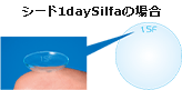 シード1daySilfaの場合