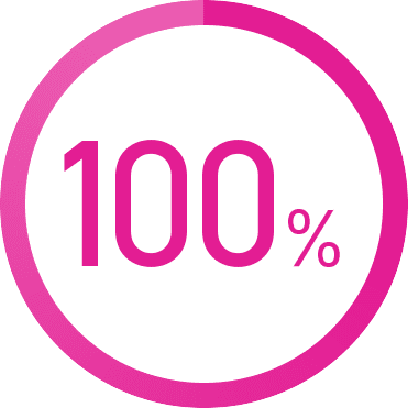 グラフ：100%