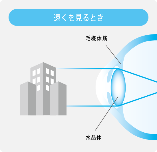 図：遠くを見るとき